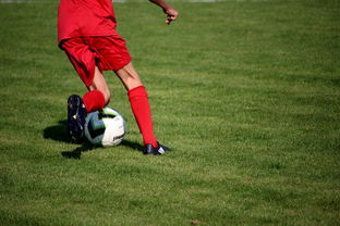 开云网页-篮球运动员心理健康服务体系研究，篮球运动员心理健康服务体系研究论文